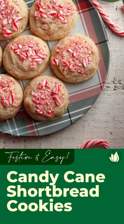 Looking for more clever ways to incorporate your favorite festive peppermint treat into your life? These Candy Cane Shortbread Cookies have a buttery, melt-in-your-mouth base to showcase crunchy bits of peppermint bliss. Candy Cane Shortbread Cookies, Mouth Base, Peppermint Christmas Cookies, Crushed Candy Cane, Peppermint Treats, Types Of Snacks, Cookie Base, Cookie Dough Ice Cream, Shortbread Recipes