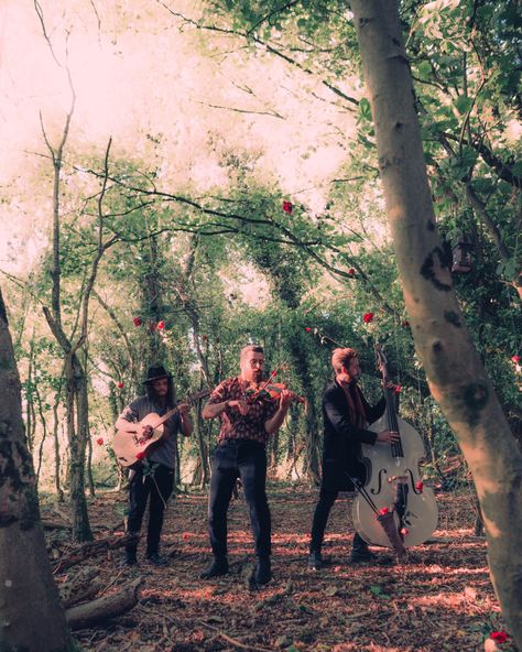 Trees musicians violin folk band double bass Folk Band Aesthetic, Outdoor Band Photoshoot, Trio Portrait, Band Shoot, Hill Photo, Band Photoshoot, Ap Studio Art, Rock Vintage, Band Photography