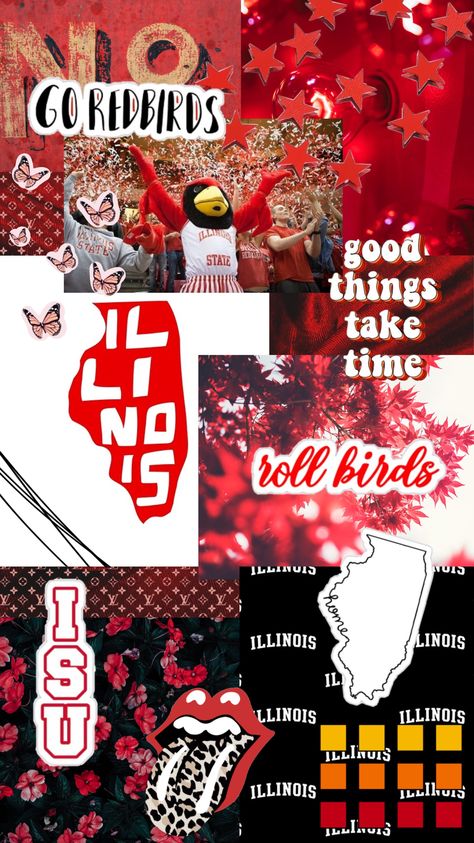 Illinois State University Wallpaper, Illinois State University Aesthetic, Illinois Tattoo, Illinois Aesthetic, Illinois State Parks, University Collage, College Shoes, Wedding Venues Outdoor, Illinois Travel