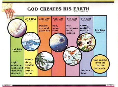 Search for Truth - God Creates His Earth Bible Infographics, Quick View Bible, Bible Overview, Bible Search, Bible Timeline, Revelation Bible, Study Notebook, Belief In God, Bible Text