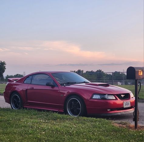 This is my 2002 Mustang GT in its current state 😊 2004 Mustang Gt, 2002 Mustang, 2000 Mustang, New Edge Mustang, Nissan Gtr Wallpapers, 2007 Ford Mustang, Red Mustang, Mustang Logo, Nissan Gtr