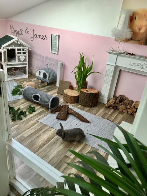 Guinea Pig Room Ideas, Diy Bunny Cage, Indoor Rabbit House, Rabbit Room, Indoor Rabbit Cage, Guinea Pig Diy, Rabbit Enclosure, Rabbit Habitat, Guinea Pigs Funny