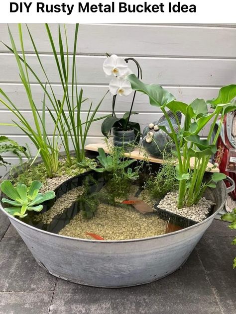 Balcony Pond Diy, Small Pond Ideas Container Water Gardens, Garden Fontaine Ideas, Container Fish Pond Diy, Diy Fish Pond Cheap, Diy Mini Ponds Backyard Simple, Flower Pot Pond, Container Pond Plants, Mini Garden Pond