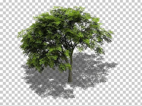 Pixel Art Isometric, Isometric Tree, Tree Sprite, Graphics Game, Background Remover, Architecture Illustration, Image Editor, Computer Graphics, Leaf Nature