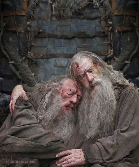 Dumbledore And Gandalf, Michael Gambon Dumbledore, Ian Mckellen Gandalf, Lotr Gandalf, Dol Guldur, Lotr Costume, Michael Gambon, Ian Mckellen, Tolkien Art