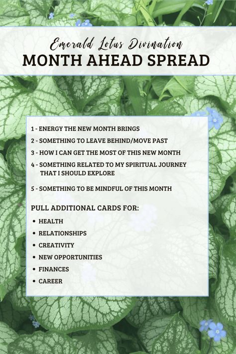 Month Ahead Tarot Spread, New Month New Me, Month Ahead Tarot, What Are Tarot Cards, Tarot Cards For Beginners, Learning Tarot Cards, Tarot Card Spreads, Tarot Tips, Tarot Spread