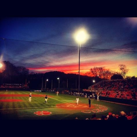 love clemson baseball Clemson Campus, Clemson Tillman Hall, Clemson College, Clemson Baseball, Clemson Memes, Clemson Tigers Football, College Baseball, Tiger Football, Clemson University