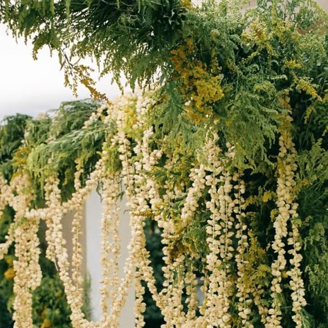 K A T I E  W A C H O W I A K on Instagram: "Chuppah garlands   Design and planning @fireflyevents  Photography @jesworkman  Venue @cranbrookhouseandgardens  Featured @vogueweddings  . . . #weddinginspiration#destinationwedding  #organicweddingflowers #naturalflowers #wedding #seasonalflowers #travelwedding #weddinggarlands #summerwedding" Garden Chuppah, Birch Chuppah, Organic Wedding Flowers, 2025 Inspiration, Wedding Chuppah, Flower Installation, Garland Wedding, April 7, Seasonal Flowers