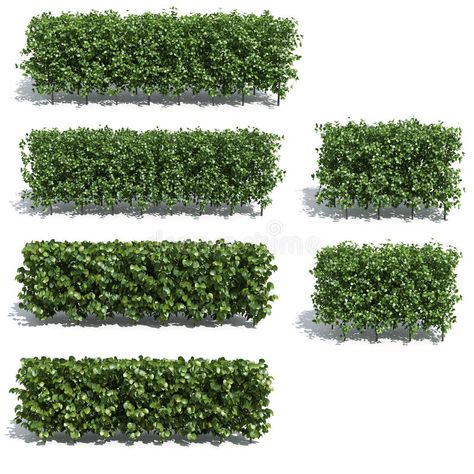 Bushes. Isolated on white background #Sponsored , #sponsored, #Affiliate, #Bushes, #white, #background, #Isolated Photoshop Landscape, Trees Top View, Tree Photoshop, Indoor Water Features, Landscape Design Drawings, Photoshop Rendering, Interior Design Presentation, Photoshop Pics, Architecture Design Drawing