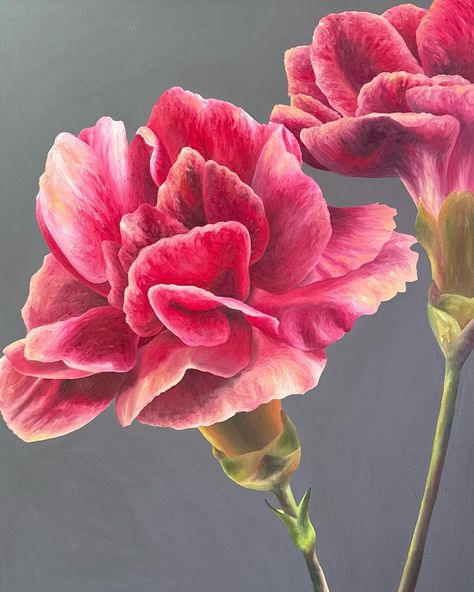 “Michelle” is a 24x30 commissioned oil painting of carnations. • • • #carnation #art #flowerart #artcommission #artcollector #artcurator #flowers #flowerenthusiast #flowerlovers #colorful #brightcolors #colortheory #vibrantart Carnations Painting, Pink Carnations, Art Curator, Ap Art, August 8, Commission Art, Vibrant Art, Color Theory, Art Collector