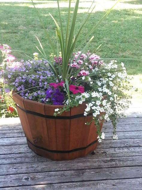 Wine barrel planter Whiskey Barrel Planter Flowers, Wine Barrel Garden, Landscaping 101, Whiskey Barrel Planter, Barrel Flowers, Wine Barrel Planter, Pool Plants, Barrel Ideas, Pinterest Garden