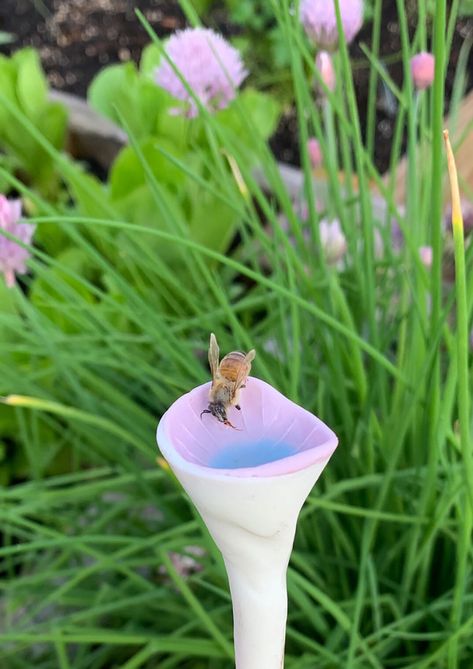 Bee Cups, Garden Ceramics, Bee Cup, Sculpture Diy, Interesting Decor, Garden 2023, Clay Cup, Bee's Knees, Ceramic Inspiration