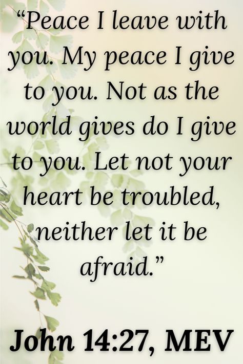 It is so easy to rely on our own strength and wisdom before going to God. Usually, we end up going to God last, if at all. However, if we seek Him out first, I find it usually saves me from a lot of heartache and mistakes. Going to God first also gives me that peace that passes understanding that can only come from the Holy Spirit and the presence of God. When I begin to worry about the future, I turn to Him. When I worry about my family #scriptureverses #peaceofgod #fruitofthespirit Peace That Passes Understanding, About My Family, The Peace Of God, The Presence Of God, Presence Of God, Overcome The World, Favorite Scriptures, Peace Of God, Good Cheer