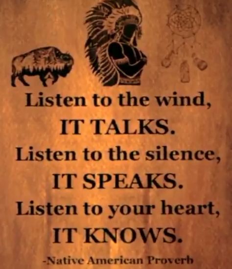 Native American Proverb Native American Proverbs, Quotes Freedom, American Indian Quotes, Indian Proverbs, Native American Prayers, Native American Proverb, American Quotes, Indian Quotes, Native American Wisdom