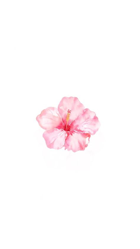 White Pink Flowers Wallpaper, Pretty Pink Pictures, Photo Rose Aesthetic, Rose Aesthetic Pink, Cute Pink Pictures, 2008 Wallpaper, Pfp Flower, Rose Widget, Pink Aesthetic Flowers