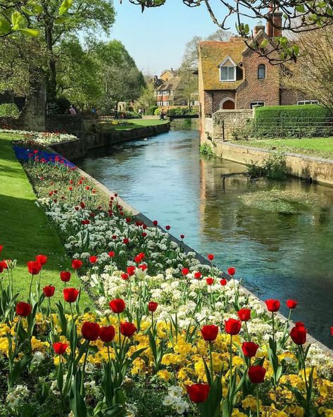 Canterbury England, Canterbury Kent, Tulip Season, Kent England, Dream Cottage, Wonderful Picture, England And Scotland, Village Life, English Countryside