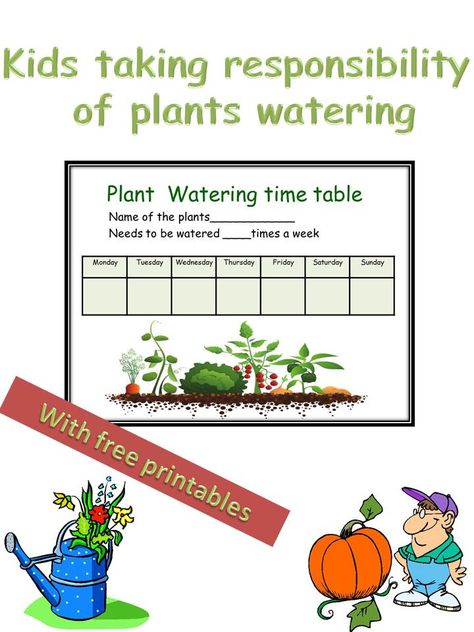 Kids gardening activity which combines fun with taking responsibility.     My daughter brought from school a small plant. So i made her a "plant watering time table", in which she marks check or other symbol every time she water the plant.I laminated it, so she can erase it at the end of each week and refill it with a dry erase marker on the next week. You can find a free printable in the website. Enjoy! Gardening Kids Activities, Schedule Printable Free, Gardening Activities, Kids Gardening, Paper Succulents, Taking Responsibility, Plant Watering, Sensory Garden, Schedule Printable