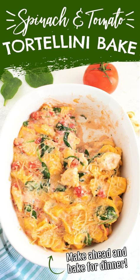 Easy Tortellini Bake, Tortellini Recipes Crockpot, Spinach Tomato Tortellini, Baked Tortellini Casserole, Easy Tortellini, Cheese Tortellini Recipes, Tomato Tortellini, Recipe Spinach, Spinach Bake