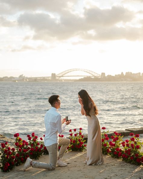 Engagement Congratulations, Proposal Pictures, Event Photographer, Australia Travel, Creative Studio, Golden Hour, All The Way, The Beginning, Wedding Events