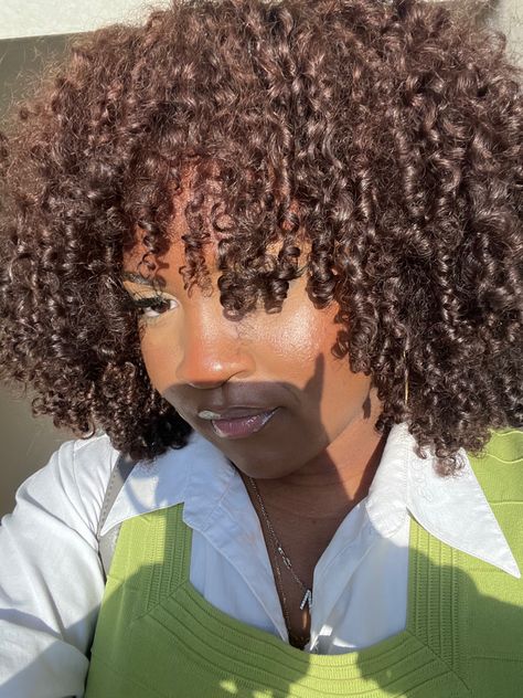 Brown Highlights On Black Hair Curly 4c, Honey Brown Afro, Highlights On 4c Hair, Chocolate Brown Natural Hair, Brown And Green Hair, Hot Chocolate Hair Color, Chocolate Brown Curly Hair, Brown Skin Hair Color Ideas, Cocoa Brown Hair