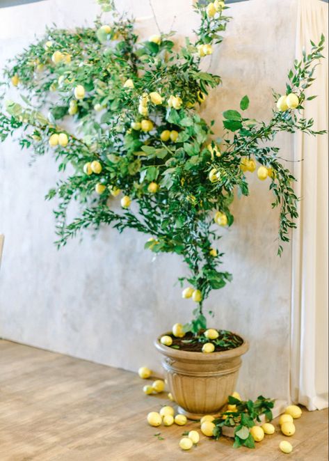 Italian Party, Parker Palm Springs, Mediterranean Wedding, Sicilian Lemon, Lemon Decor, Wedding Inspiration Summer, Boho Wedding Decorations, Floral Backdrop, Tuscan Style