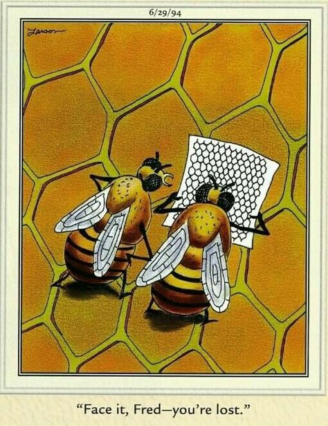 Bee Humor, Gary Larson, I Love Bees, Bees And Wasps, Bug Art, Bee Inspired, Bee Mine, Bee Crafts, Bee Art