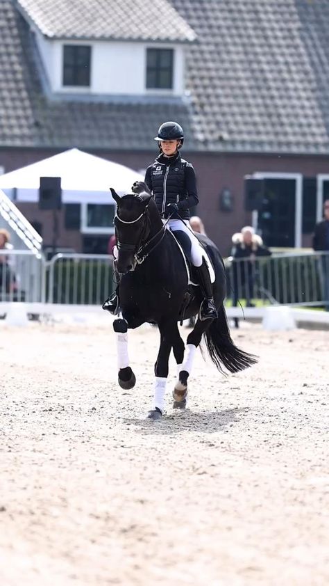 Dressage Videos, Horse Riding Videos, Dressage Competition, Hunter Jumper Horses, Horse Competition, Horse Dressage, Horse Videos, Horse Aesthetic, Hunter Jumper