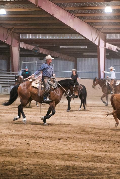 Buck Brannaman, Horse Quotes, Ranch Life, Cute Horses, Long Live, Tell Me, To Tell, To Learn, Cowboy