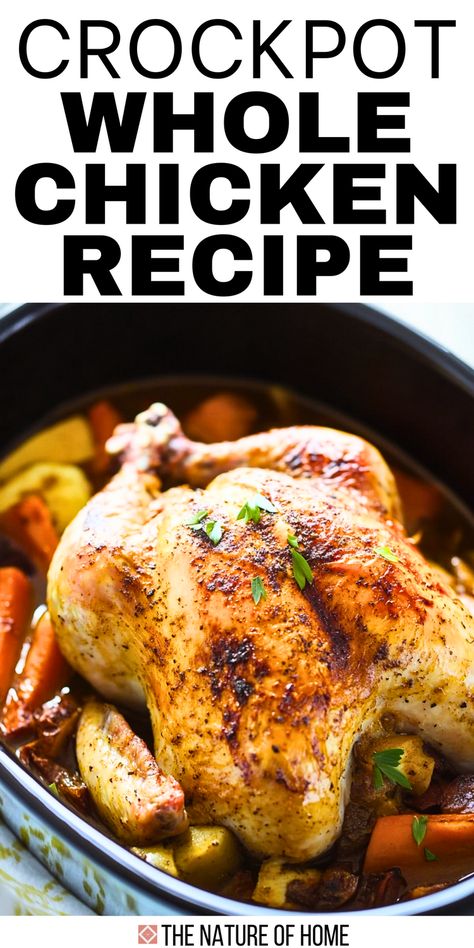 Discover the ultimate Crockpot Whole Chicken recipe that’s juicy, flavorful, and incredibly easy! Perfect for busy nights, this slow cooker recipe makes tender chicken with minimal prep. Save this pin to enjoy a set-it-and-forget-it meal that’s sure to make you a slow-cooker fan! Crockpot Whole Chicken Recipes, Crockpot Whole Chicken, Whole Chicken Recipe, Delicious Slow Cooker Recipes, Whole Chicken Recipes, Slow Cooker Recipe, Buttered Noodles, Creamy Mashed Potatoes, Tender Chicken