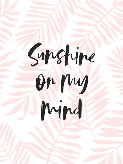 ☀sunshine pin the outside and sunshine on the inside 😊☀️ | Lifestyle Edit MDW Summertime Quotes, Pink Palm Leaves, Palm Leaf Art, Sunshine On My Mind, Leaves Art, Beach Quotes, Summer Quotes, On My Mind, The Lifestyle