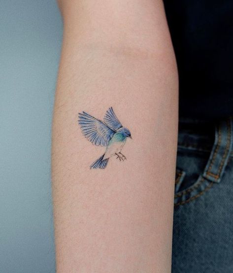 Blue Bird Tattoos. - Demands Jobs.com Blue Birds Tattoo, Blue Jay Bird Tattoo, Bluebirds Tattoo, Blue Bird Tattoos, Jay Bird Tattoo, Blue Bird Tattoo, Hen Tattoo, Blue Jay Tattoo, Marigold Tattoo