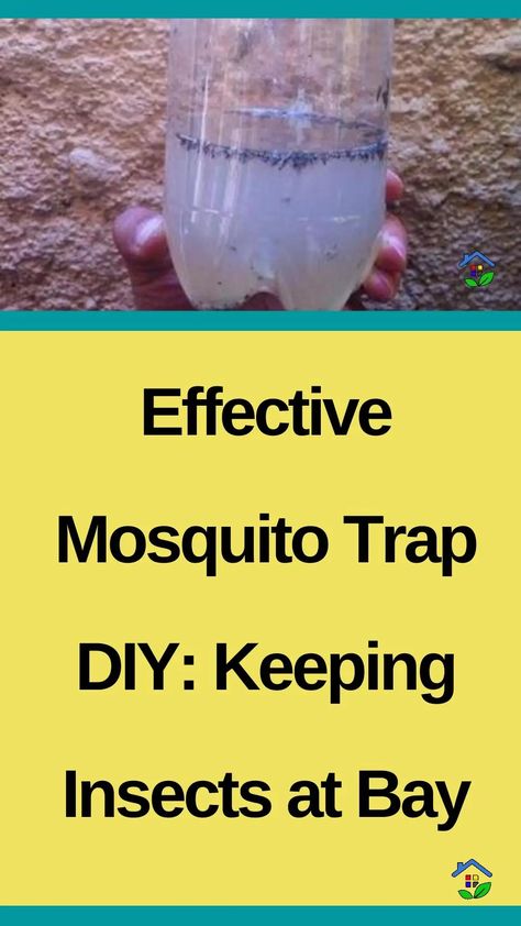 Keep mosquitoes at bay with simple and effective DIY traps. No harmful chemicals are needed. Mosquitoes can be a real nuisance sometimes, disrupting activities and even affecting sleep. To effectively deal with these irritating insects, we recommend the simplest trap of all that will help you get rid of them and enjoy your time without […] How To Get Rid Of Misquotes, Home Made Mosquito Repellent, Mosquito Trap Diy, Diy Fly Trap, Mosquitoes Remedies, Mosquito Repellent Homemade, Mosquito Traps, Diy Mosquito Repellent, Bug Trap