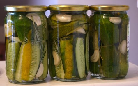 lemon, rosemary and garlic pickles - ( I would ferment this, not do the white vinegar!) Refrigerator Garlic Pickles, Refrigerator Pickled Garlic, Pickled Garlic Refrigerator, Garlic Fridge Pickles, Crunchy Garlic Dill Pickles, Pickling Cucumbers Recipe, Quick Pickle Recipe, Dill Pickle Recipe, Olive Jar