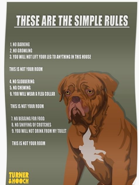 Movie Poster from "Turner & Hooch"; 1989 Found on Google search Turner And Hooch, Simple Rules, Movie Poster, Over The Years, Google Search, Movie Posters, Film Posters