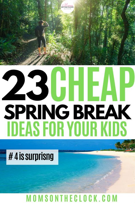 Spring Break For Kids, Spring Break Quotes, Spring Break Ideas, Spring Break Pictures, Spring Break Cruise, Spring Break Kids, Spring Break Party, Spring Break College, Break Ideas