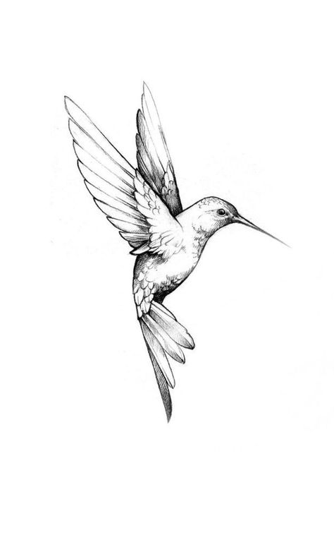 April Tattoo Ideas Birth Month For Men, Humming Birds Tattoo Design, Shaded Tattoos Women, 2 Hummingbirds Tattoo, Two Hummingbird Tattoo, Hummingbird Tattoo Small, Minimalist Hummingbird Tattoo, Tattoos For Guys Small, Fine Line Hummingbird Tattoo