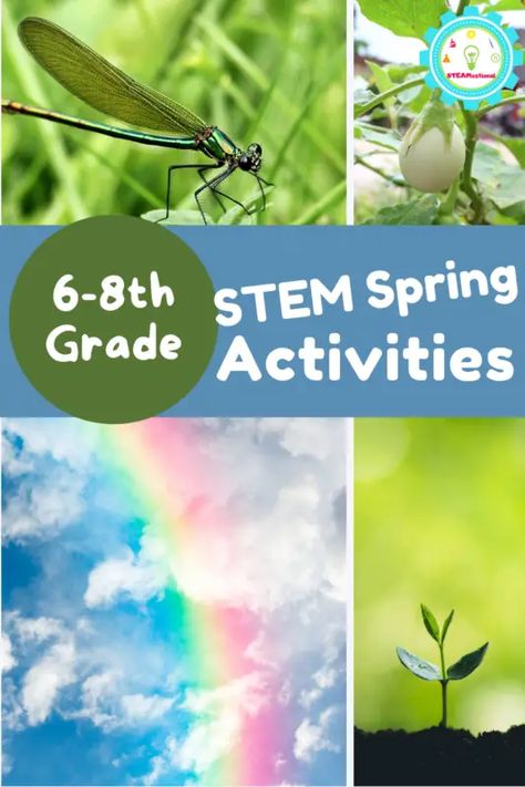 Hands-on Spring STEM Activities for Middle School Outdoor Science Activities Middle School, Spring Activities For Middle Schoolers, Outdoor Stem Activities Middle School, Stem For Middle School Activities, Earth Day Activities Middle School, April Stem Activities, Easy Stem Projects, Stem Projects Middle School, Spring Stem Activities