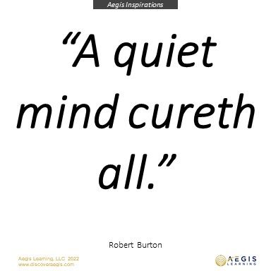 Vision, purpose, innovation, and clarity of actions all come from the ability and discipline to regularly create a quiet mind. Block time to think, process, and be still or chaos will always surround you. #leadership #success #quiet #mindfulness The Art Of Quiet Influence, Quiet Person, Quiet Mind, Leadership Development, Be Still, Philosophy, Leadership, Psychology, Im Not Perfect