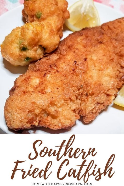 Crispy Southern Fried Catfish is easy to make and is of restaurant quality. Tender fillets lightly breaded and fried till golden. If you’re looking for a great fried fish recipe, this is the one. Fish Seasoning Recipe, Fish And Chips Batter, Breaded Fish Recipe, Catfish Dinner, Fried Catfish Recipes, Fried Fish Recipe, Southern Fried Catfish, Catfish Recipes, Best Fish And Chips