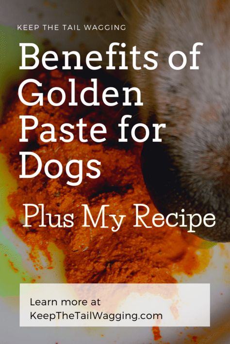 Benefits-of-Golden-Paste-for-Dogs | Keep the Tail Wagging Tumeric Paste For Dogs Recipe, Turmeric Paste For Dogs, Golden Paste For Dogs, Yeast In Dogs, Tumeric For Dogs, Golden Paste Recipe, Turmeric For Dogs, Golden Paste, Boys Food