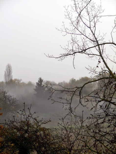 Grey Fall Aesthetic, Gray Fall Aesthetic, Festival Of The Dead, End Of Fall, Lady Jane Grey, End Of Winter, Morning Mist, Mysterious Places, Gray Aesthetic