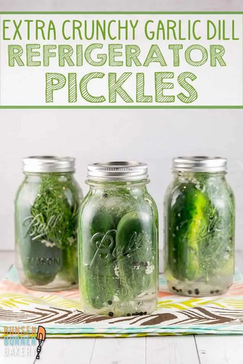 Pickles Refrigerator, Homemade Refrigerator Pickles, Refrigerator Pickles Dill, Dill Pickle Recipe, Bunsen Burner, Sides Dishes, Canning Pickles, Kitchen Basics, Homemade Ideas