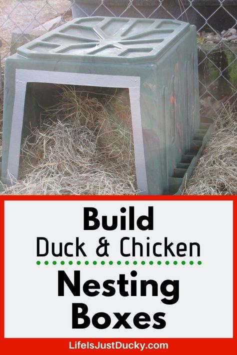 How to make nesting boxes for your chickens or ducks. Easy to make and the results are cleaner eggs and happy ducks. Easy DIY nest boxes. Diy Nest, Duck House Plans, Chickens And Ducks, Nest Boxes, Raising Ducks, Chicken Nesting Boxes, Duck And Ducklings, Chicken Life, Homestead Farm