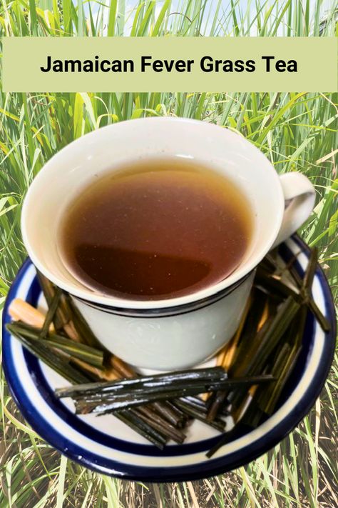 Across the globe it is known as lemongrass. In the Caribbean we call it fever grass. Explore the benefits of Fever Grass tea. 🌿
#lemongrass #lemongrasstea #lemongrassbenefits #caribbeanbushteas Lemon Grass Benefits, Lemon Grass Tea Benefits, Moringa Benefits, Natural Diuretic, Lemongrass Tea, Upset Stomach, Tea Benefits, Loose Tea, Vitamins And Minerals