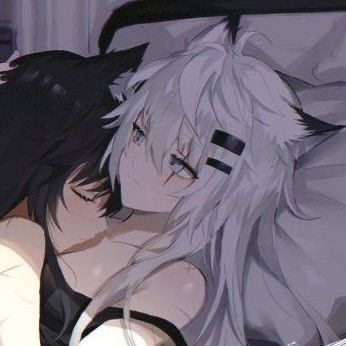 Matching Wolf Pfps, Lappland And Texas Matching Pfp, Lappland X Texas Matching Icons, Arknights Texas, Pixiv Fantasia, Birthday Plans, Anime Elf, Yuri Anime, Gothic Anime