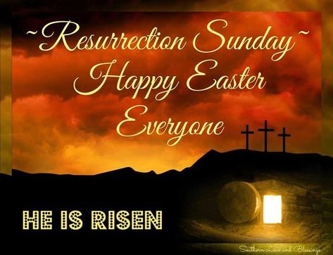 Resurrection Sunday Happy Easter Everyone easter happy easter happy easter. easter pictures religious easter quotes easter sunday quotes resurrection sunday easter sunday images Passover Images, Easter Sunday Images, Happy Resurrection Sunday, Happy Easter Gif, Easter Bunny Images, Happy Resurrection, Good Friday Images, Hope Pictures, Happy Easter Pictures