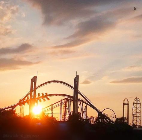 Cedar Point Aesthetic, Carnival Core, Coaster Aesthetic, Pretty Coasters, Aesthetic Coasters, Cluttered Mind, Alton Towers, Summer Vision, Kings Island