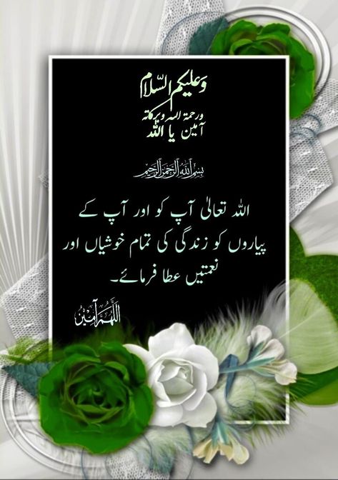 Walikum Salam Image Urdu, Walikum Salam Image, Walaikum Assalam Quotes, Walaikum Assalam Images, Walaikum Salam, Walaikum Assalam, Salam Image, Hi Images, Good Morning Msg