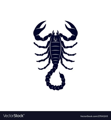 Scorpion Vector, Scorpion Symbol, Scorpion Logo, Black Scorpio, Tattoo Logo, Illustration Template, Lord Shiva Statue, Shiva Statue, Symbolic Tattoos