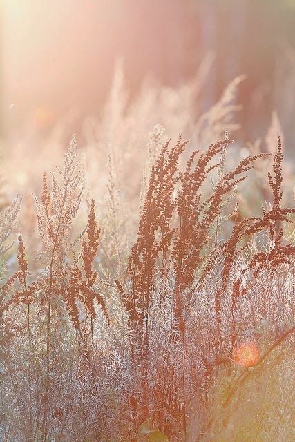 Comment créer une atmosphère Bohème ?#bohemianwedding #bohemian #colorful #eventsbymikysah #weddingblog Shades Of Peach, Crop Circles, Soft Autumn, 수채화 그림, Pink Aesthetic, Color Inspiration, Beautiful Nature, Fall Colors, Sake